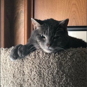 Meet your Posher, Lynn